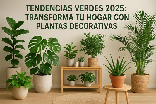 Tendencias verdes 2025: transforma tu hogar con plantas sostenibles y decorativas