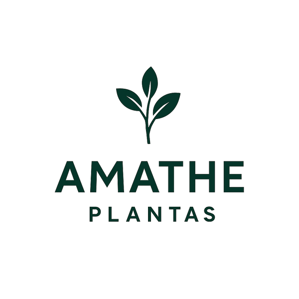 Amathe Plantas
